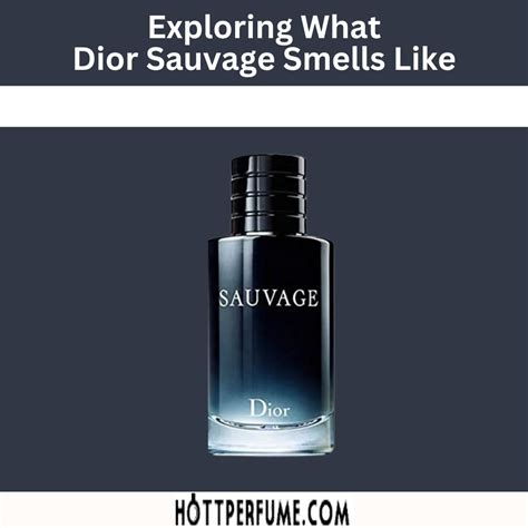 dior sauvage show 2017|Dior Sauvage smells like.